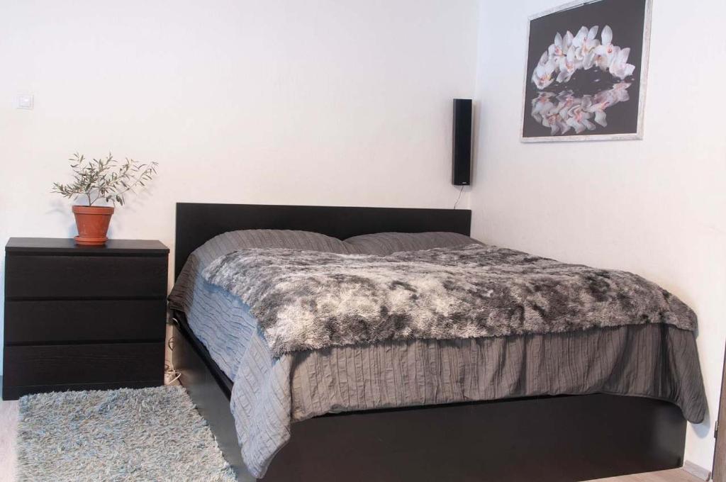 Danova chata photo 1