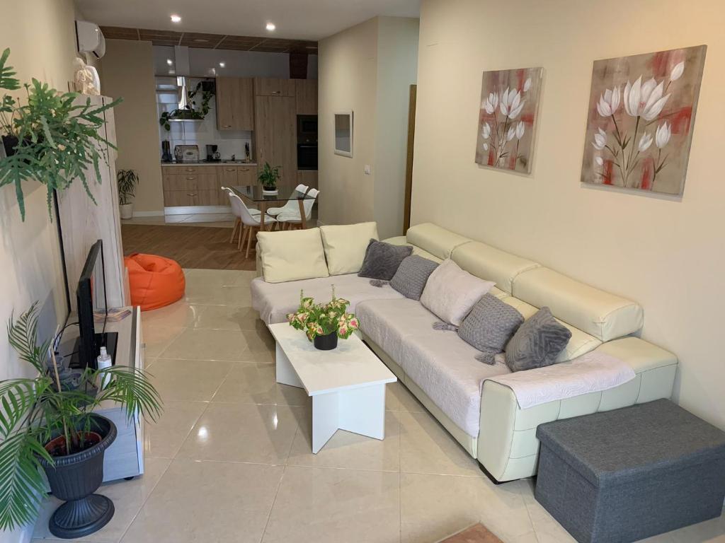 Apartamentos La Unión photo 3