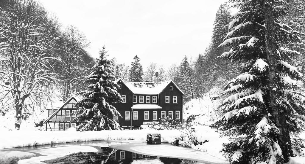 Waldhaus Wolfsbachmühle photo 3