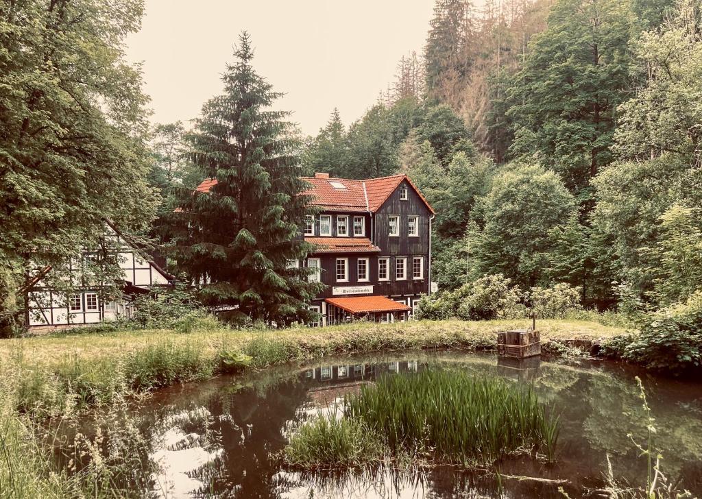 Waldhaus Wolfsbachmühle photo 1