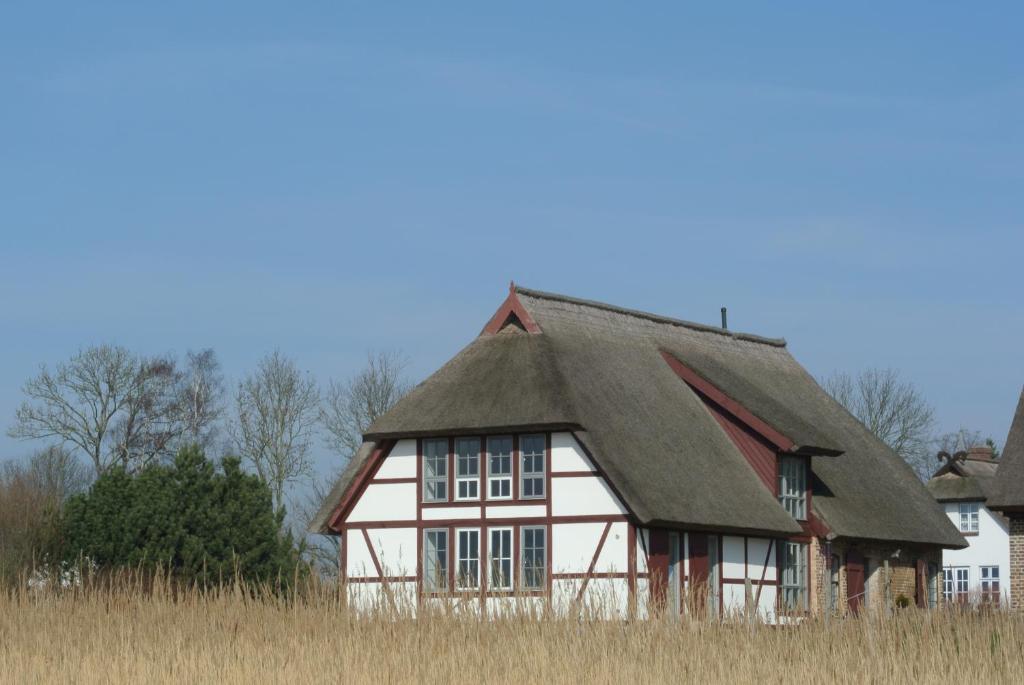 Museumshof Puddemin photo 3