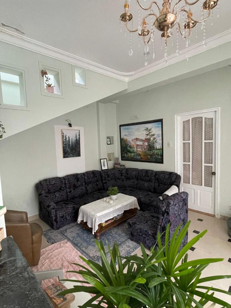 Dora Homestay