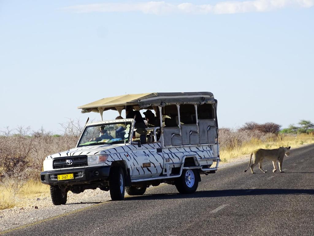 Etosha Safari Camping2Go photo 4