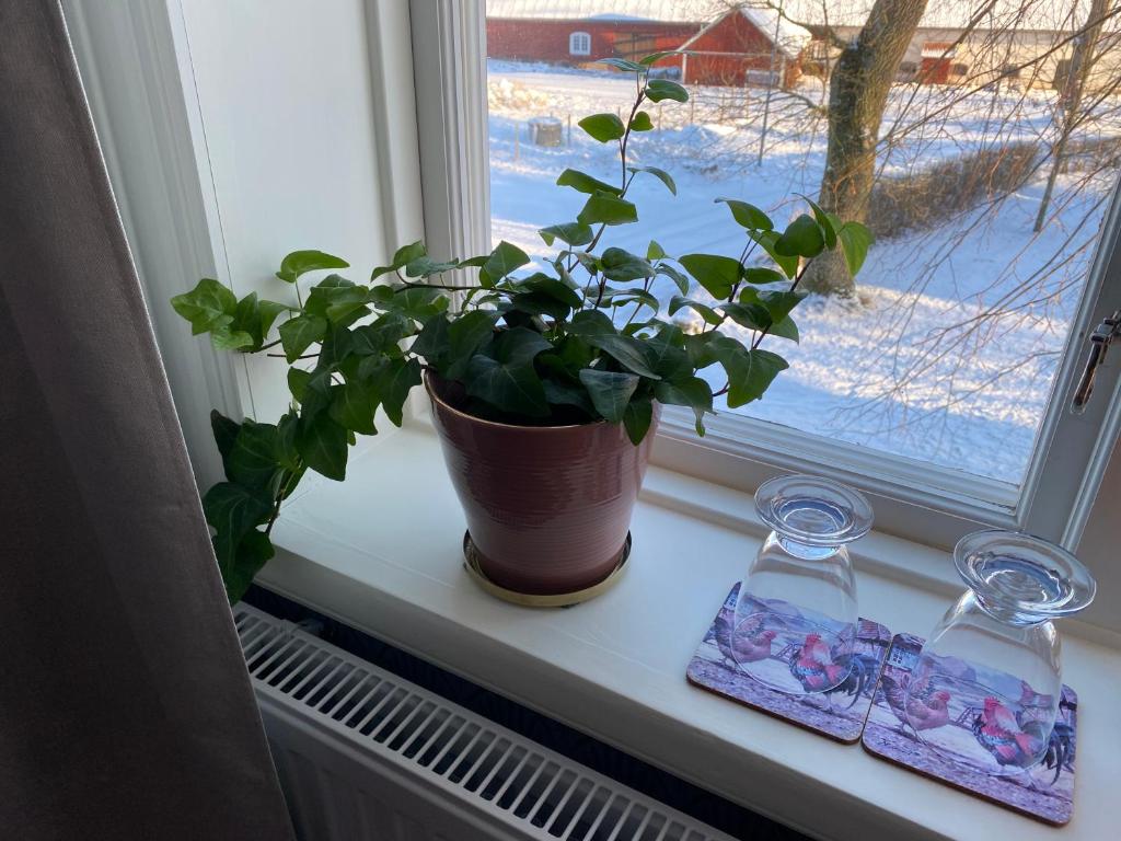 Bjälbo Gästhus B&B photo 4
