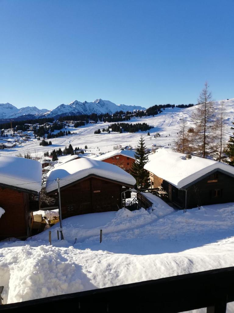 les saisies ;loue a la semaine photo 1