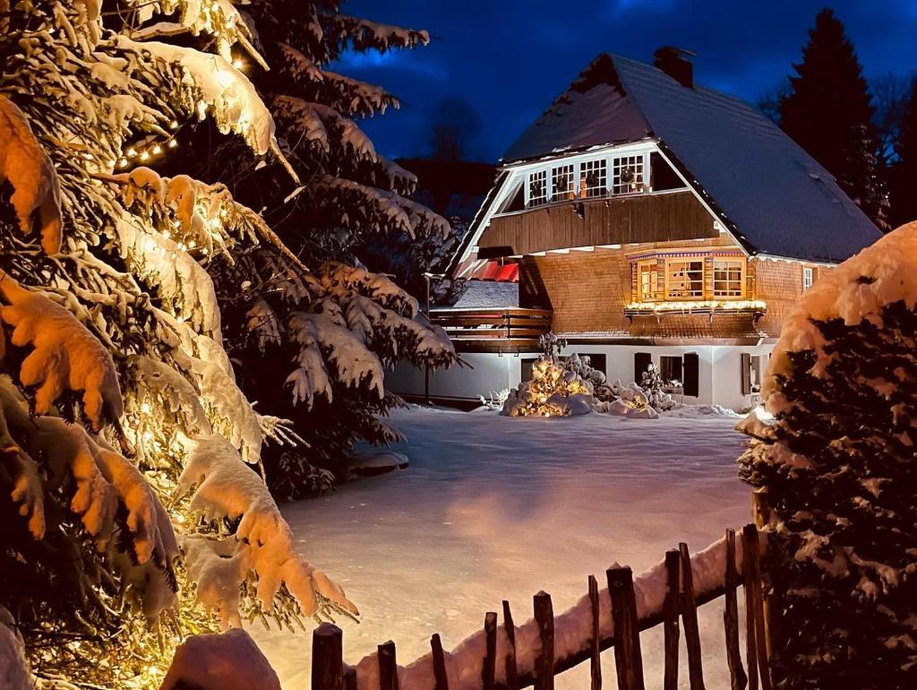 Chalet am Birkenhain photo 3