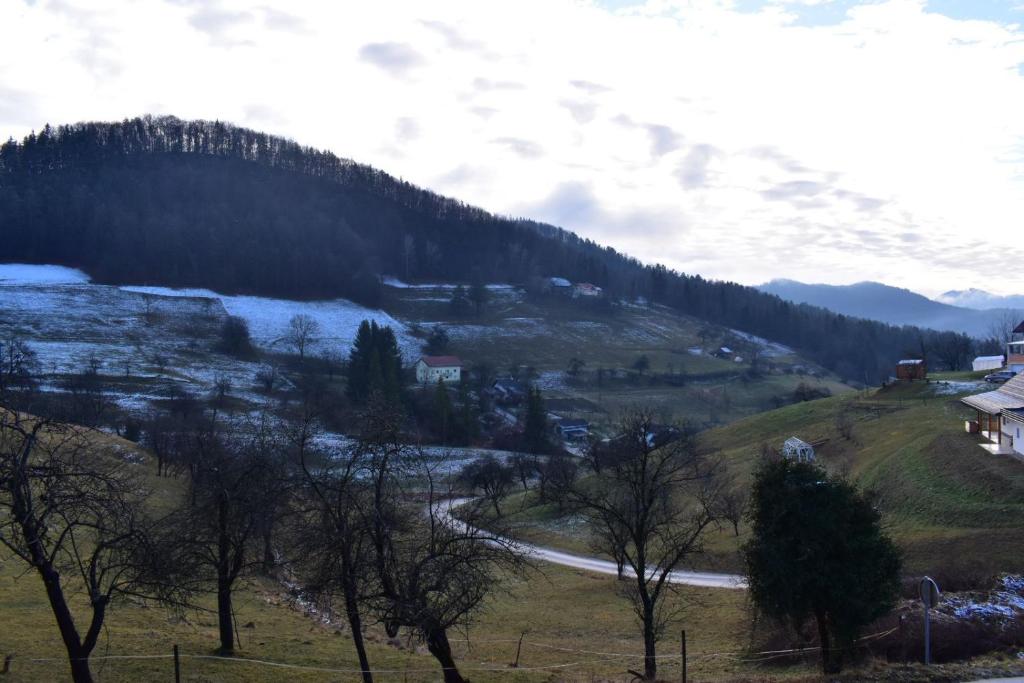 Apartma VRBA photo 3