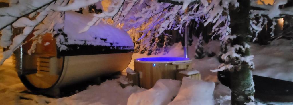 Aqua Apartments Spa Housemuhlbach photo 3