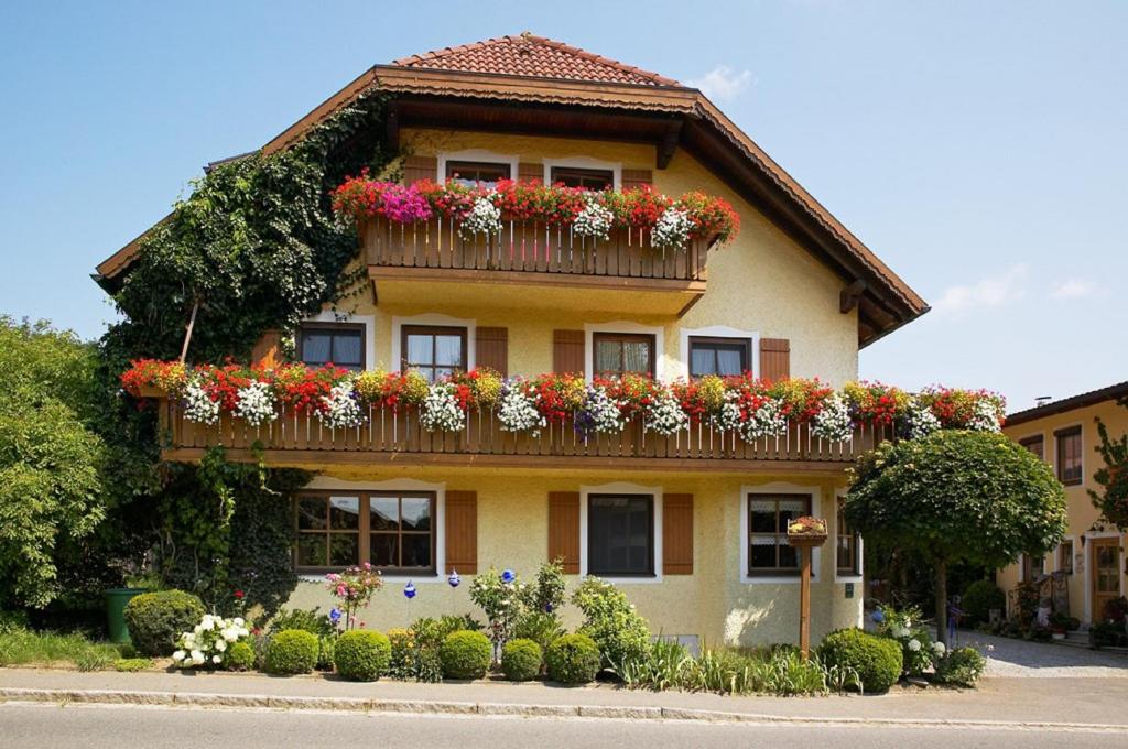 Ferienhof Schlag photo 1