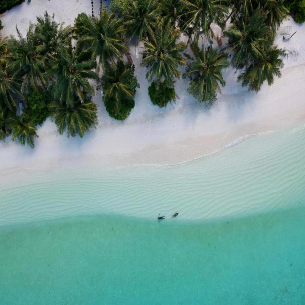 Thoddoo Haisha inn, Maldives photo 3