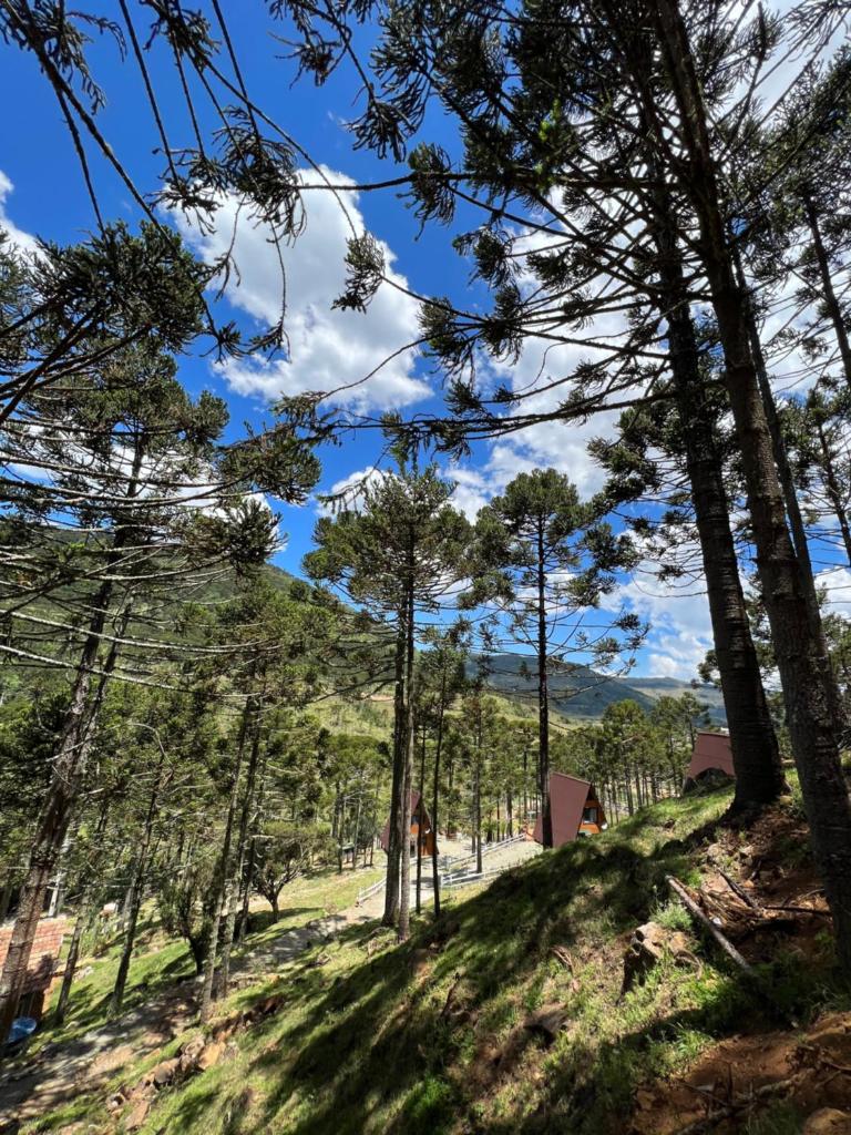 CABANA DA MONTANHA - URUBICI photo 3