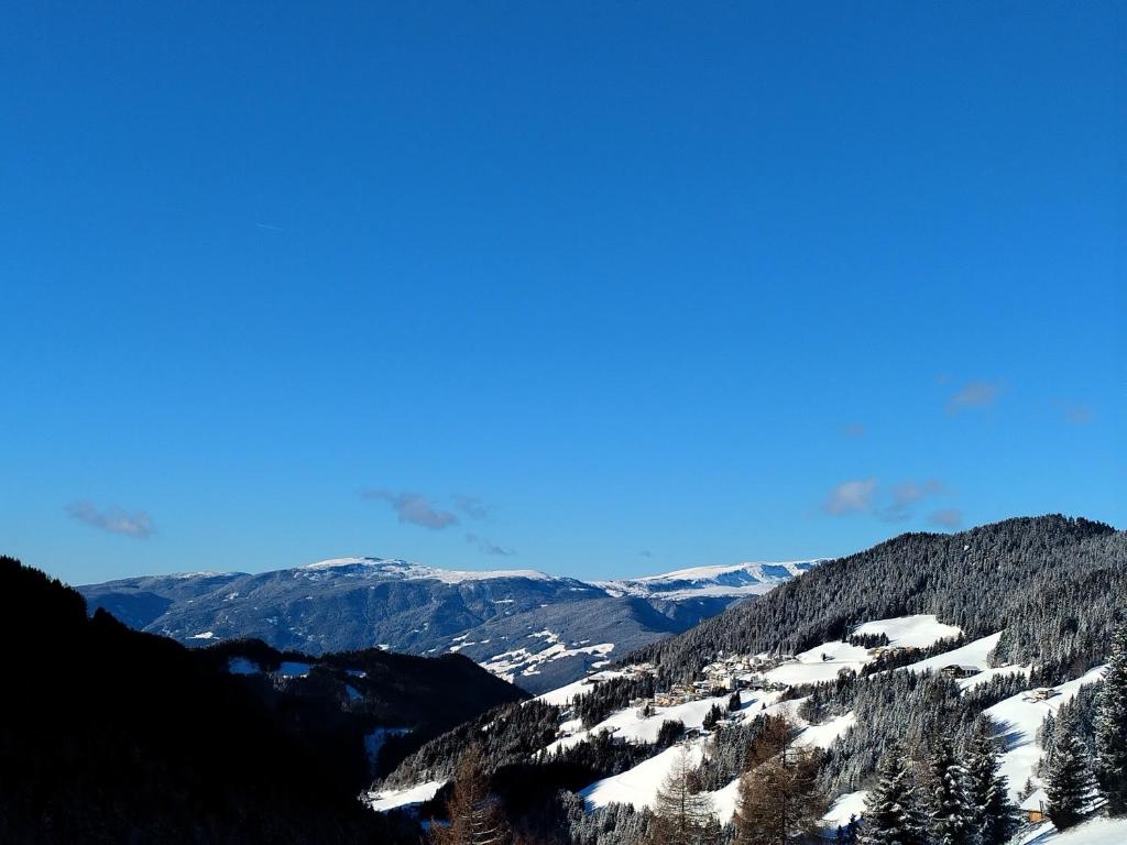Zimmererhof photo 3