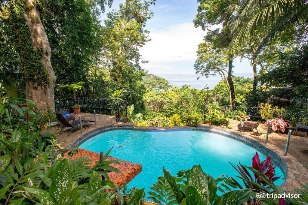 Mango Moon Villa photo 4