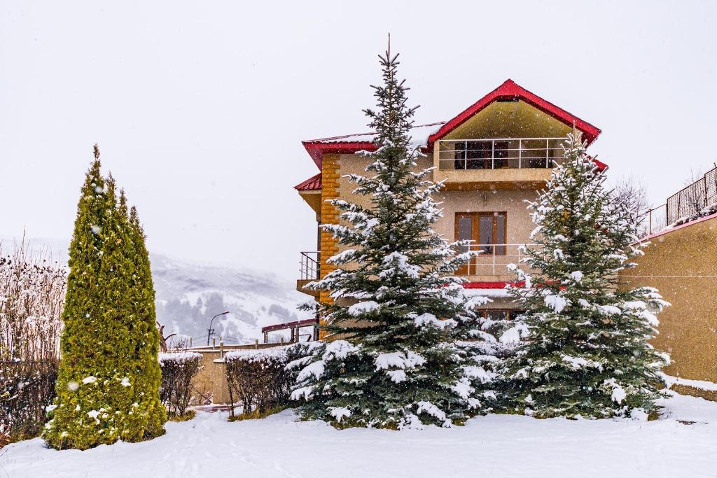 Tsaghkadzor Homeland photo 2