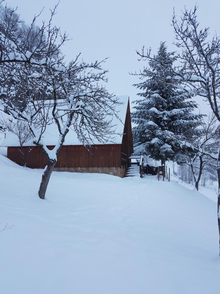 Detached house Milivoje photo 2