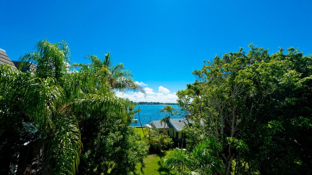 Anna Maria Island Beach Palms 8B photo 3