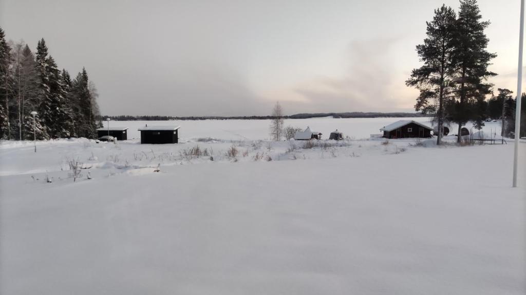 Loma Luonnonlapsi Loimu-mökki photo 3