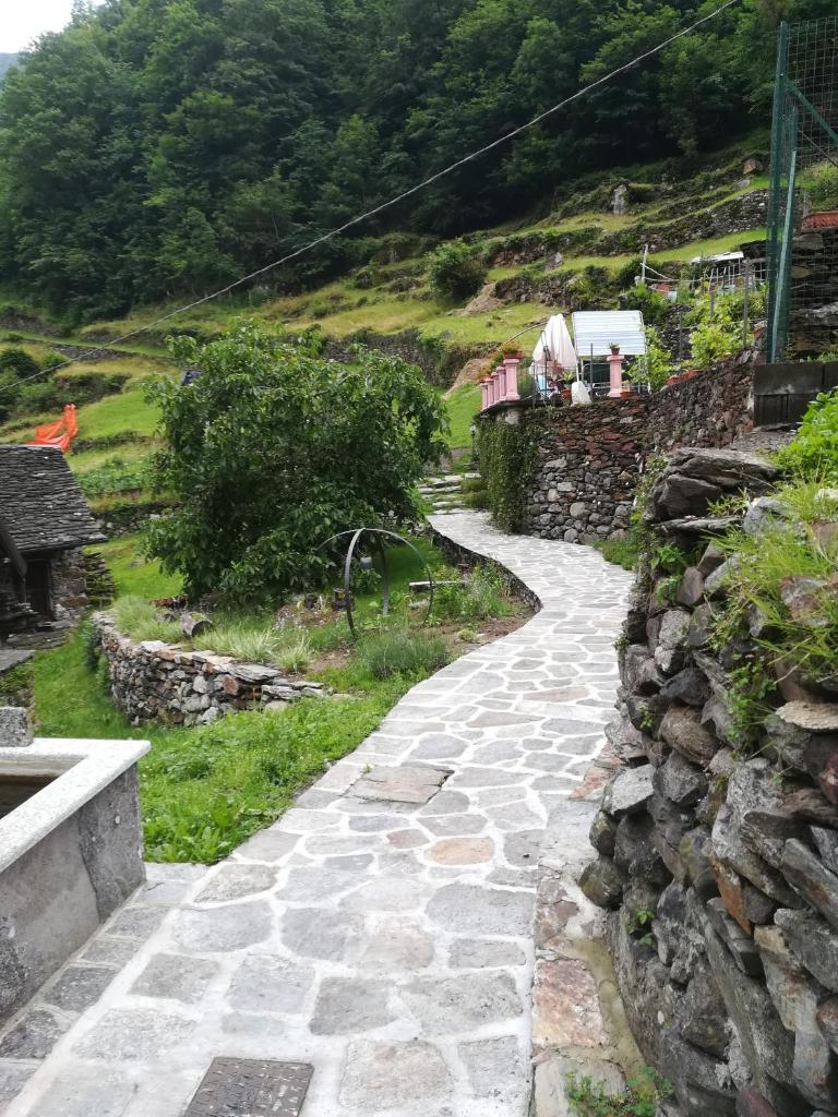 Shanty photo 4