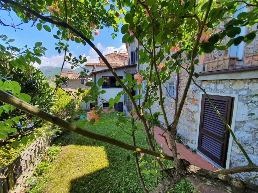 Santa Lucia Suite Camaiore photo 4