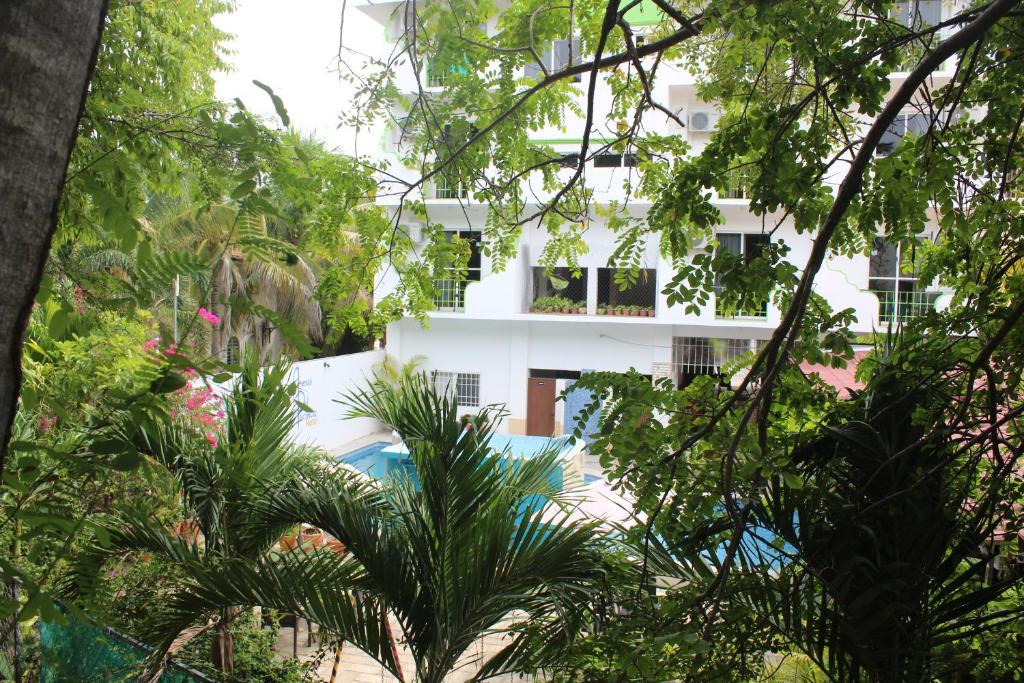 Hotel Arenas del Pacifico photo 4