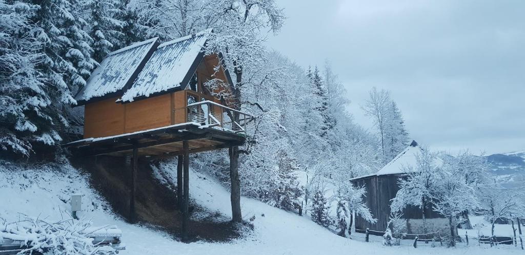 Tree house photo 1