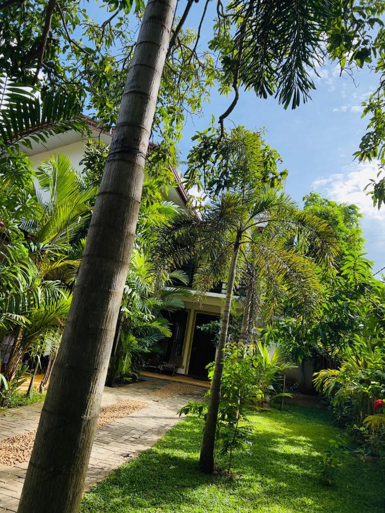 Yala Southern Homestay photo 3