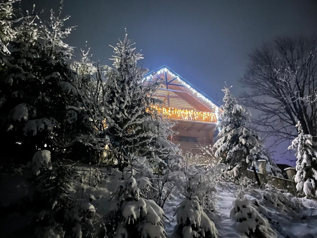 Villa PidStromom photo 2