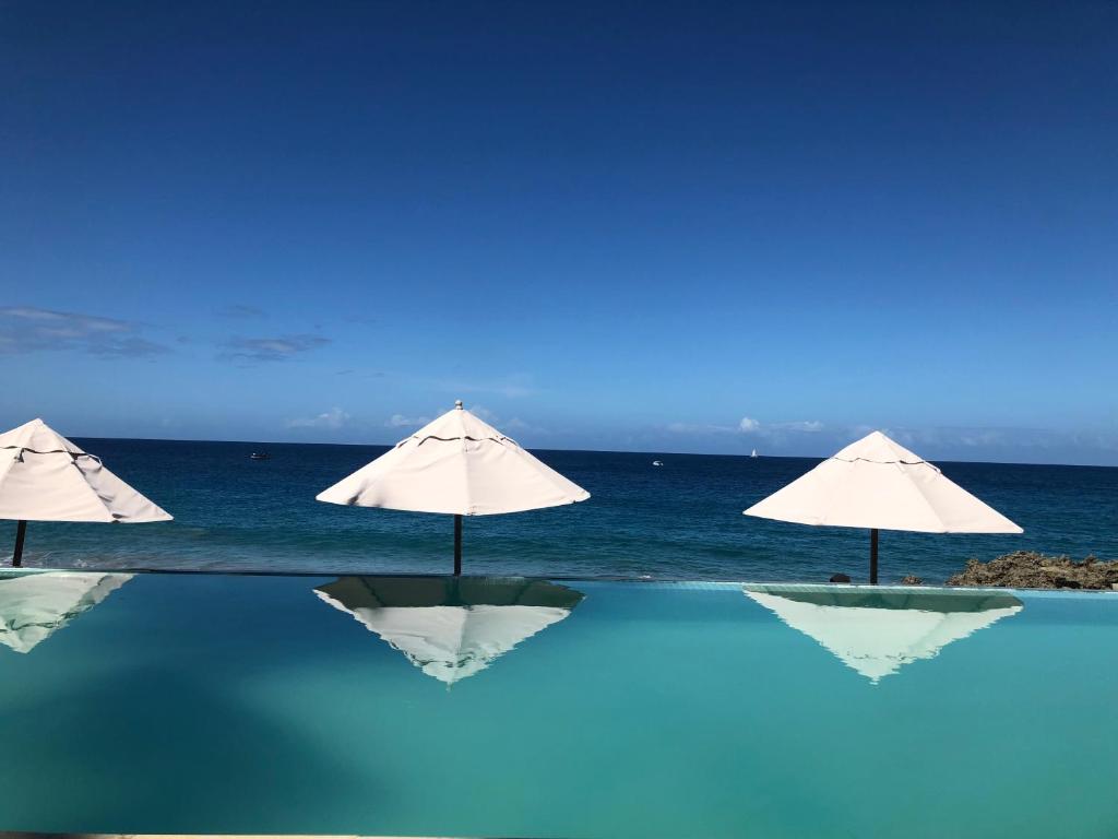 Vacations in the Caribbean Paradise photo 4