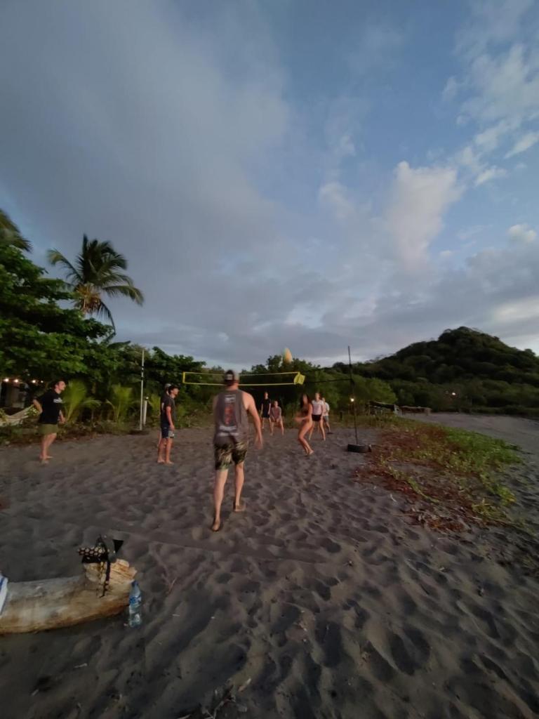 Alive Beach House photo 3