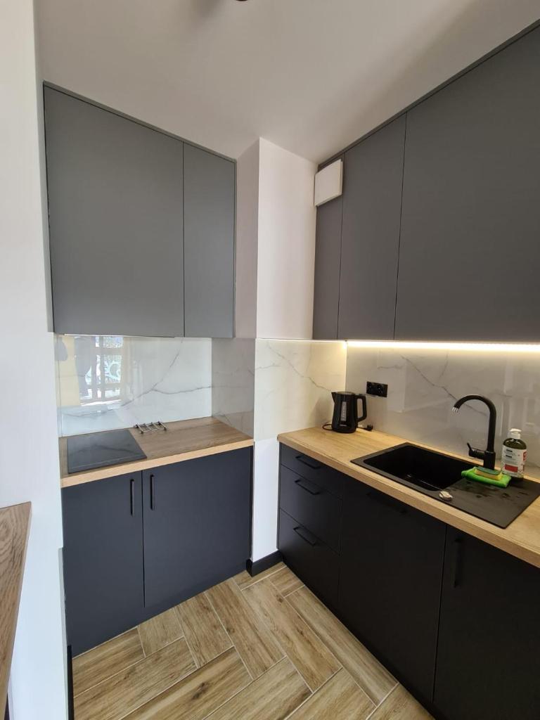 Apartament Lake View z sauną i widokiem na jezioro photo 2