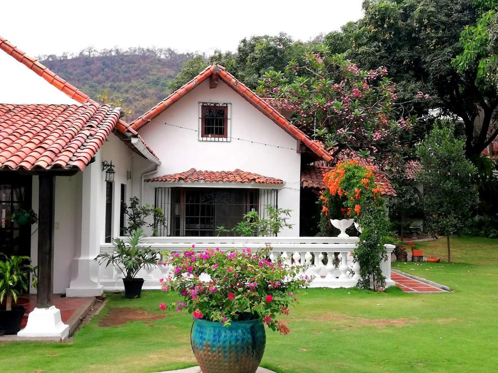 Iguanazu Bed & Breakfast photo 1
