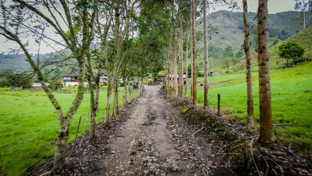 Finca La Playa Ecohotel - Experiencia Campestre - photo 4