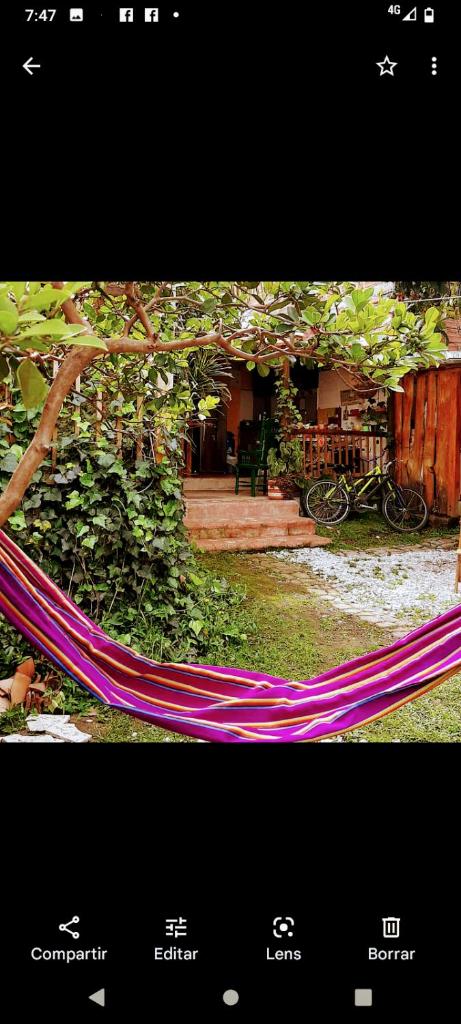 Hostal Macondo Inn photo 3