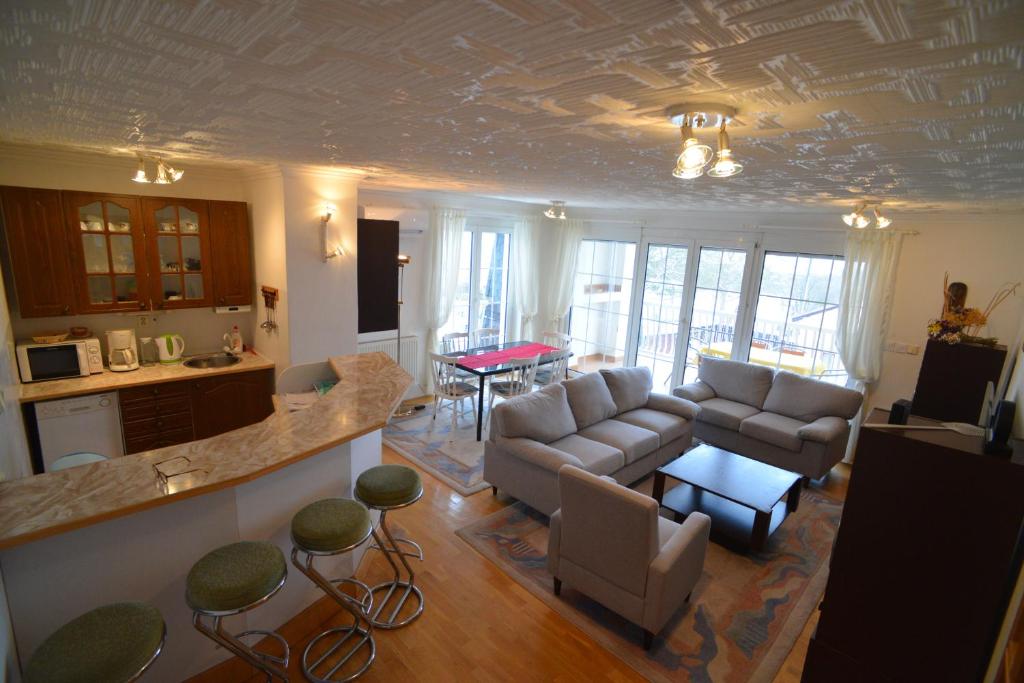 Apartment near Lake in Pilsen photo 1