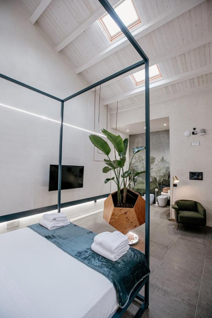 FICOPALA SUITES - Tap to explore photos
