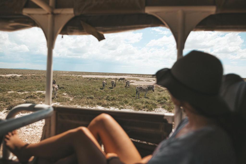 Etosha Safari Campsite photo 1