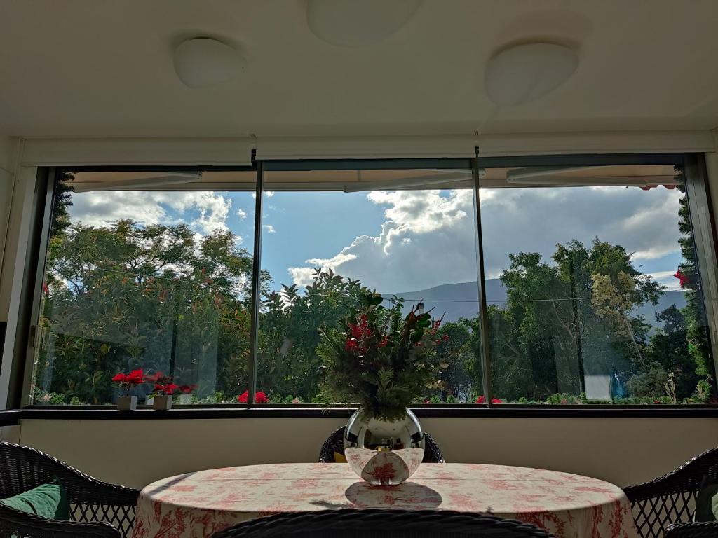 Sandy's Superior Suite photo 3
