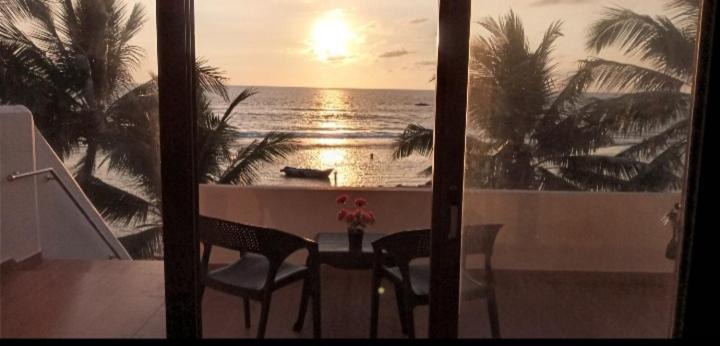 Coral Reef Guest photo 2