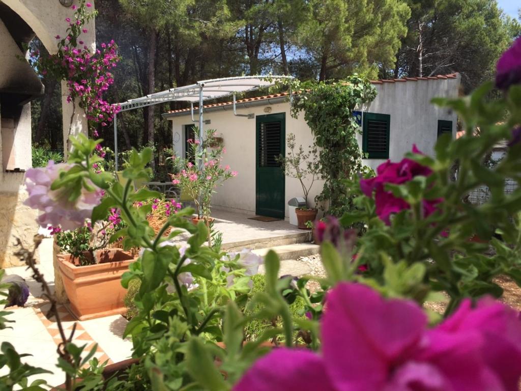 Studio apartment in Veli Rat with sea view, balcony, washing machine 882-1 photo 3