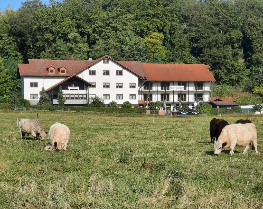Landgasthof Rotlipp Gästezimmer photo 3