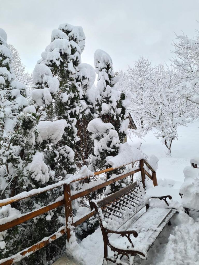 House Poljana photo 1
