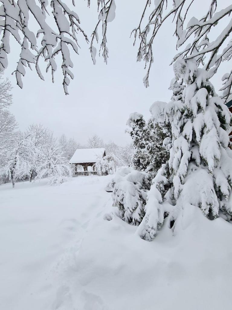 House Poljana photo 3