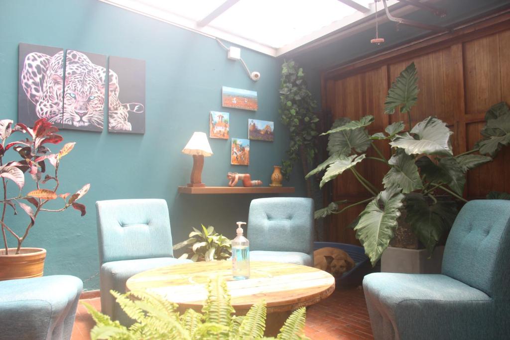 La Casona Azul photo 4