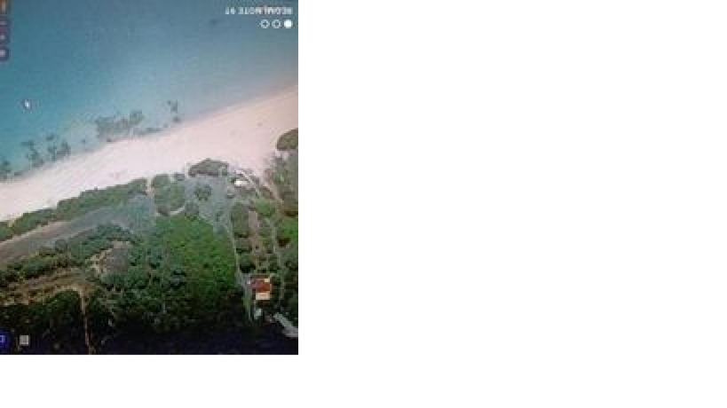 ¨Solo¨ in Paradise photo 4