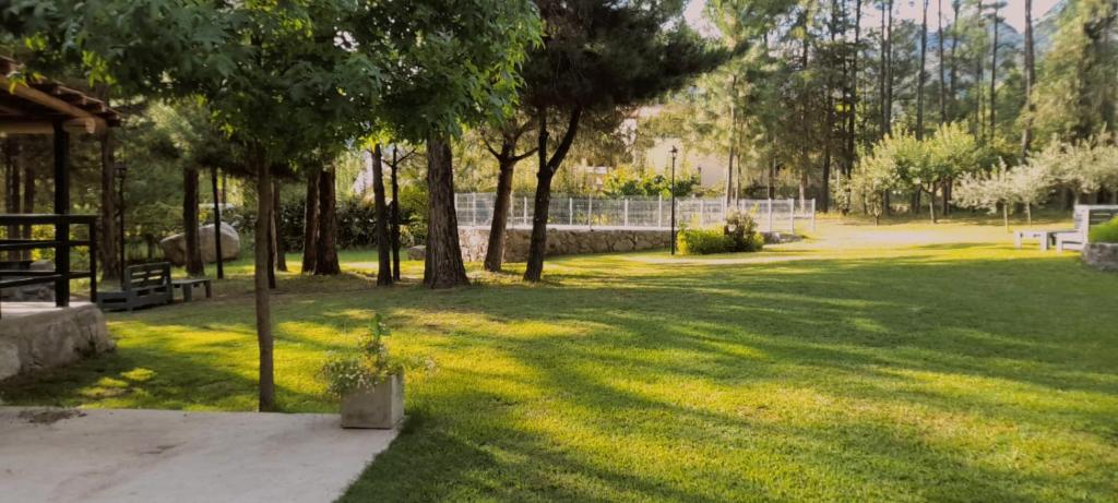 El Pinar Suizo photo 1