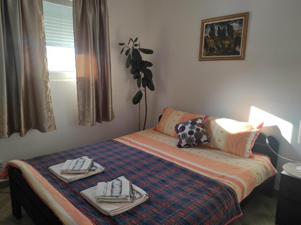 Andrea Airport Apartments photo 1