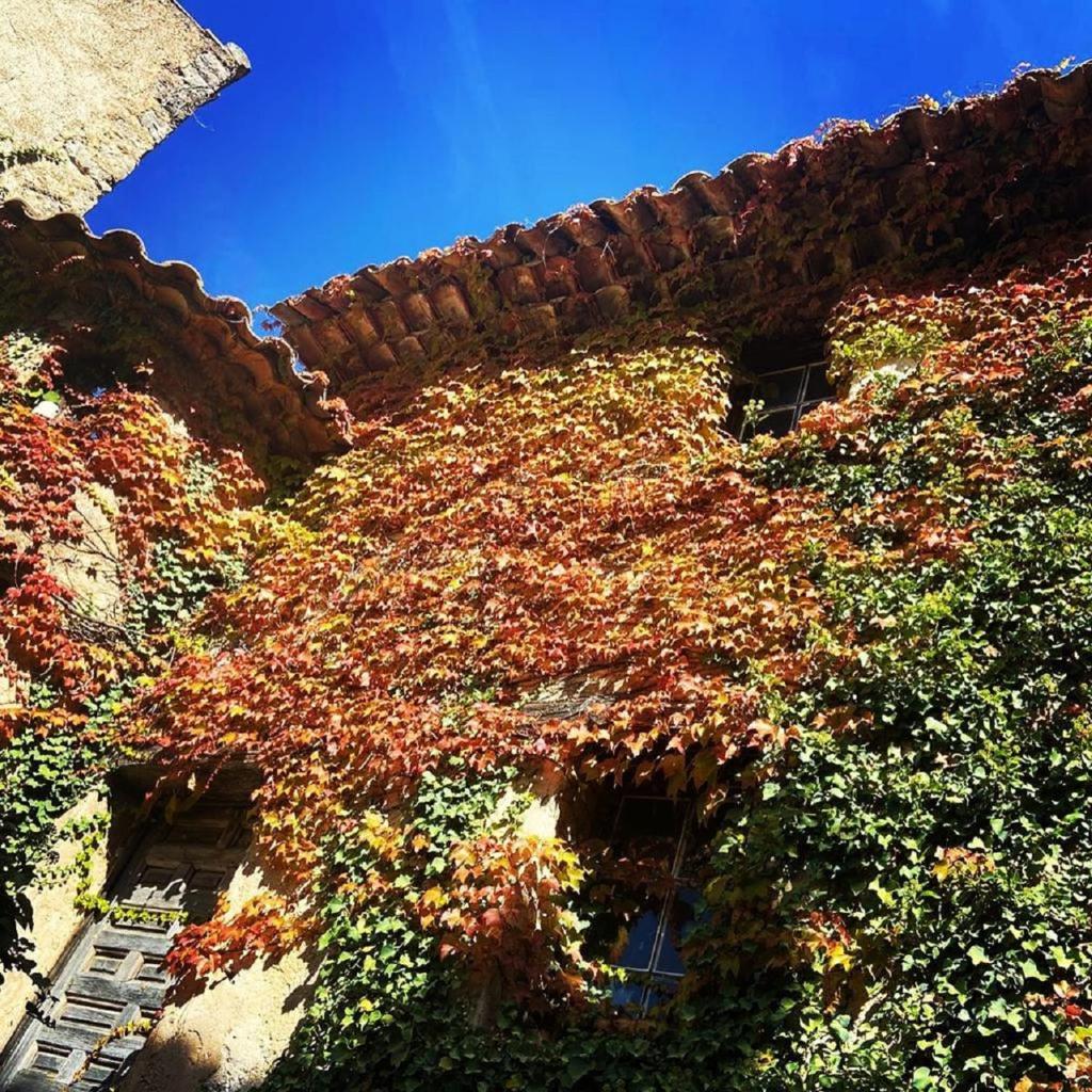 Domaine Le Petit Hameau photo 2