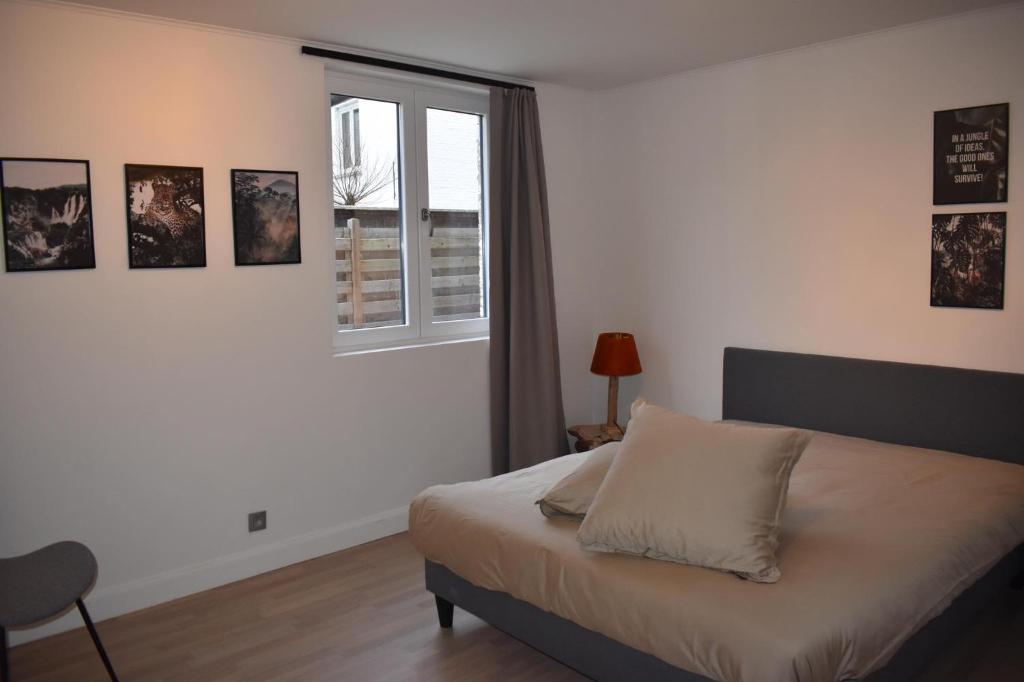 Huis te Moerbeke-Waas photo 2