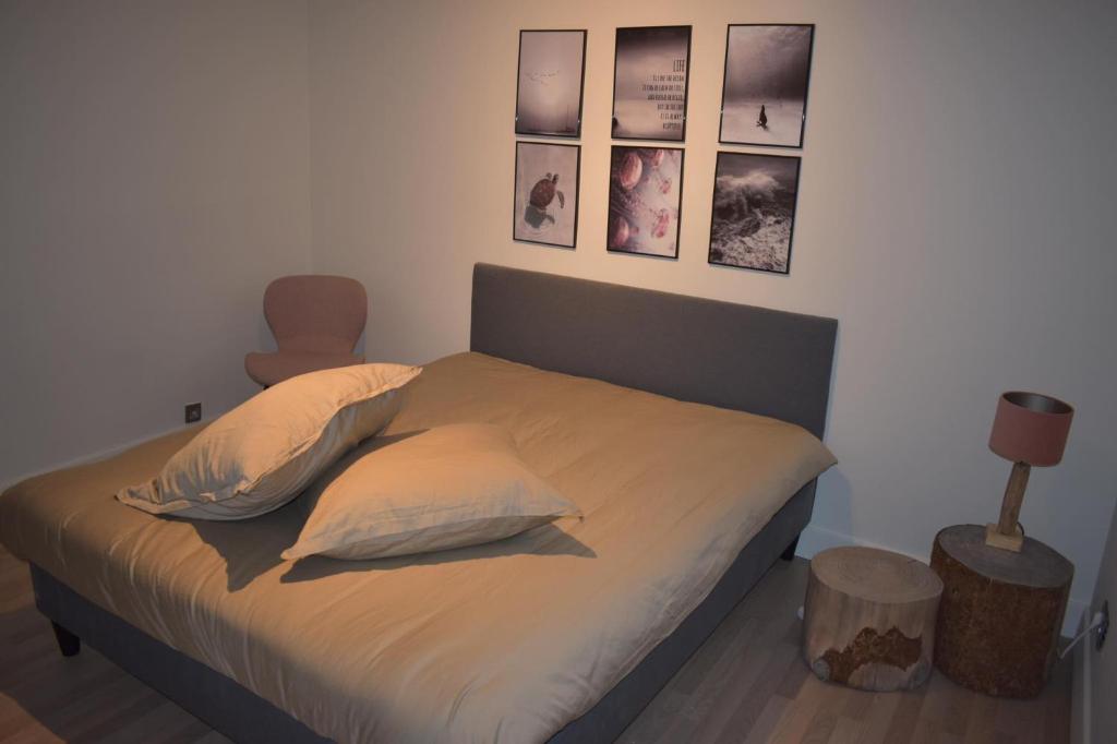 Huis te Moerbeke-Waas photo 3