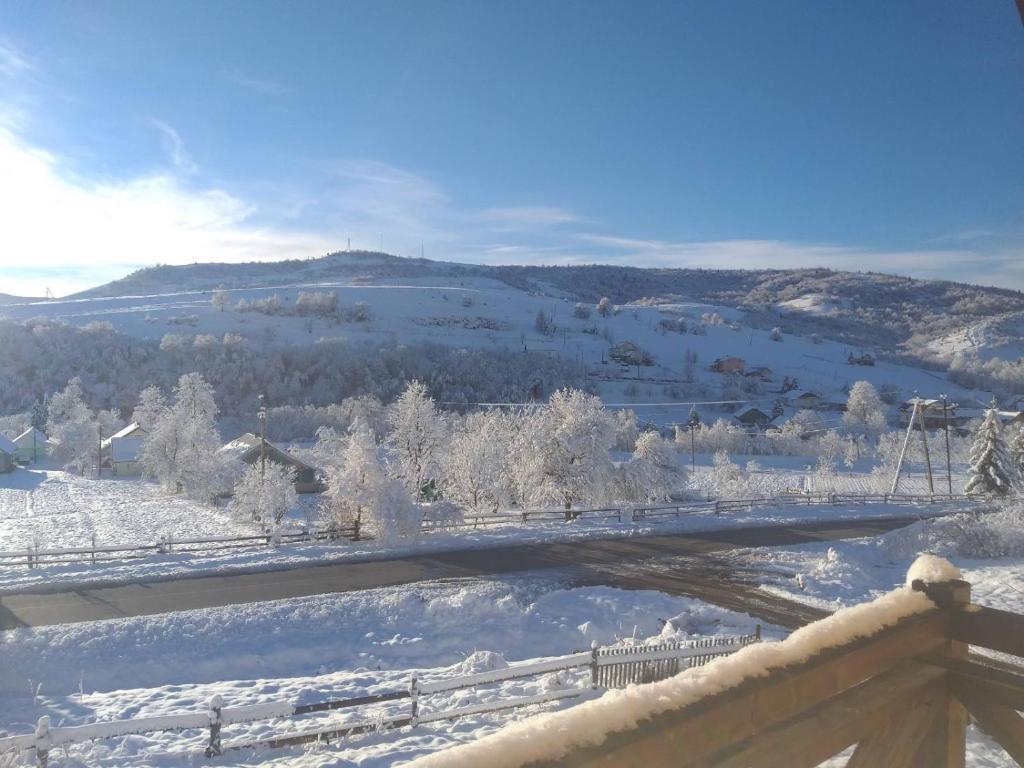 Садиба Лісова photo 2
